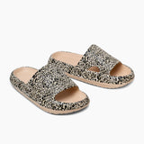 Leopard Slides - Cloud Slides